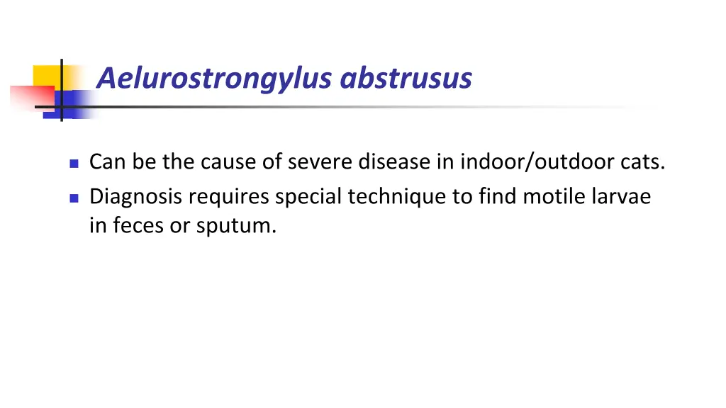 aelurostrongylus abstrusus