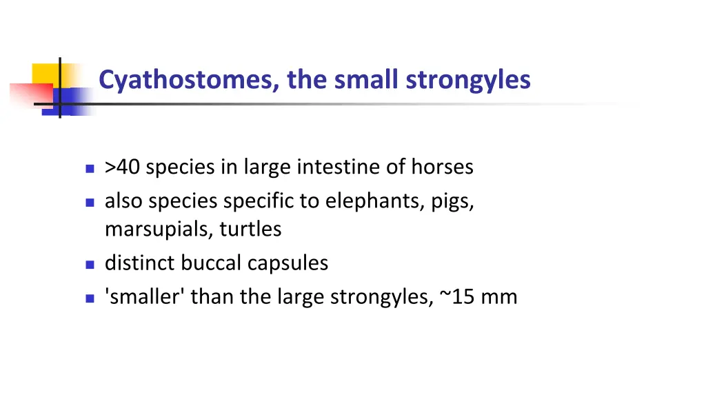 cyathostomes the small strongyles