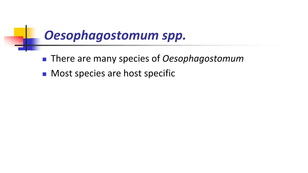 oesophagostomum spp