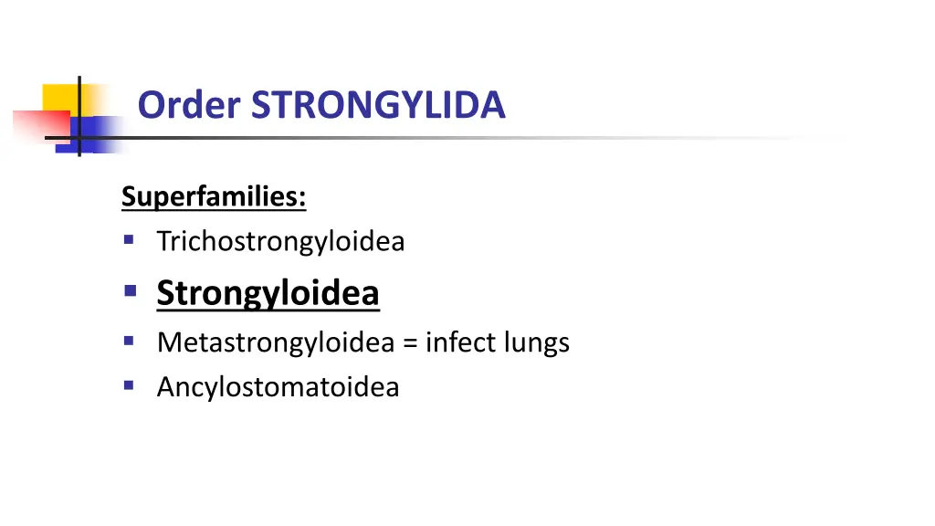 order strongylida