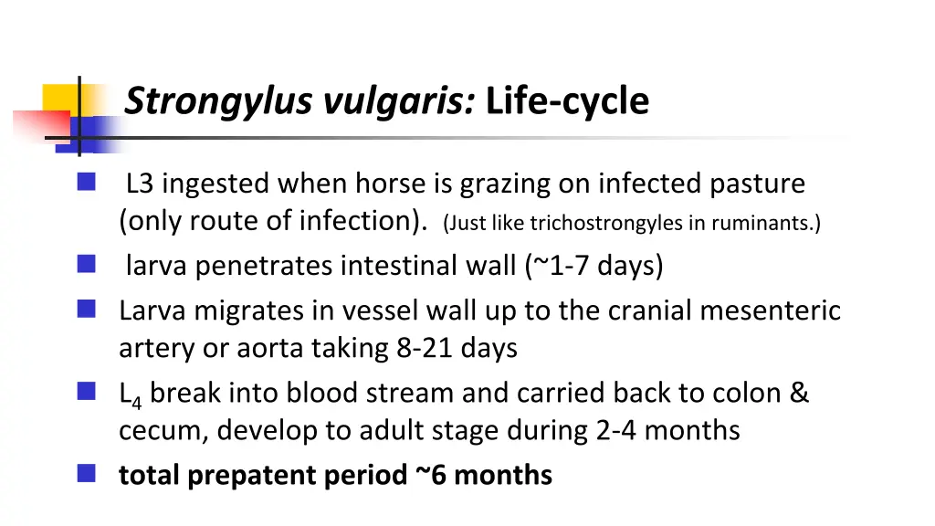 strongylus vulgaris life cycle