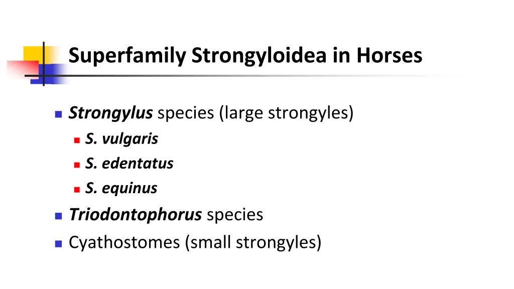 superfamily strongyloidea in horses