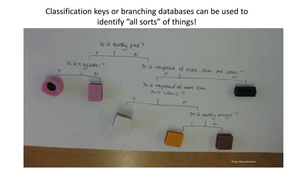 classification keys or branching databases