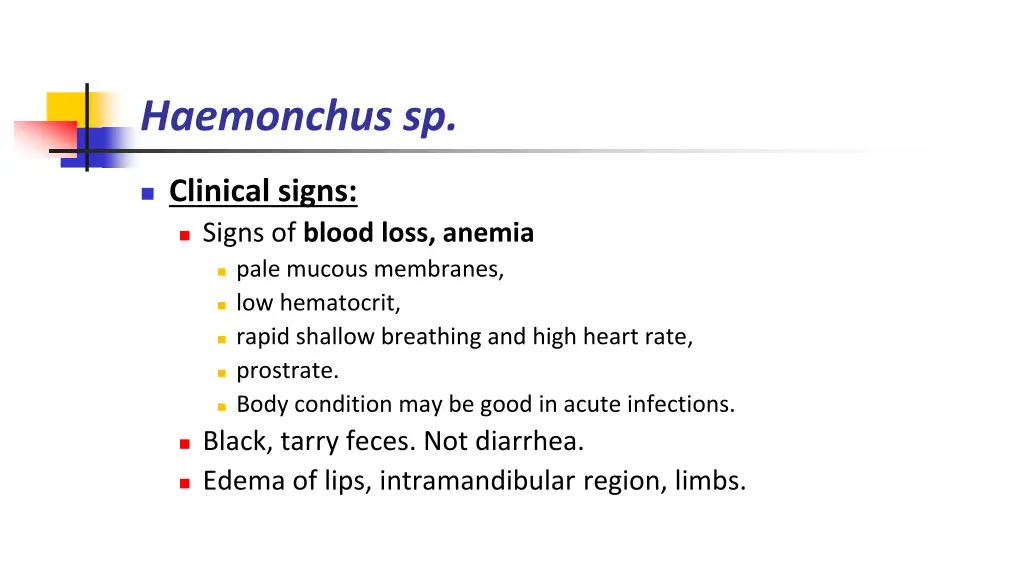 haemonchus sp 4