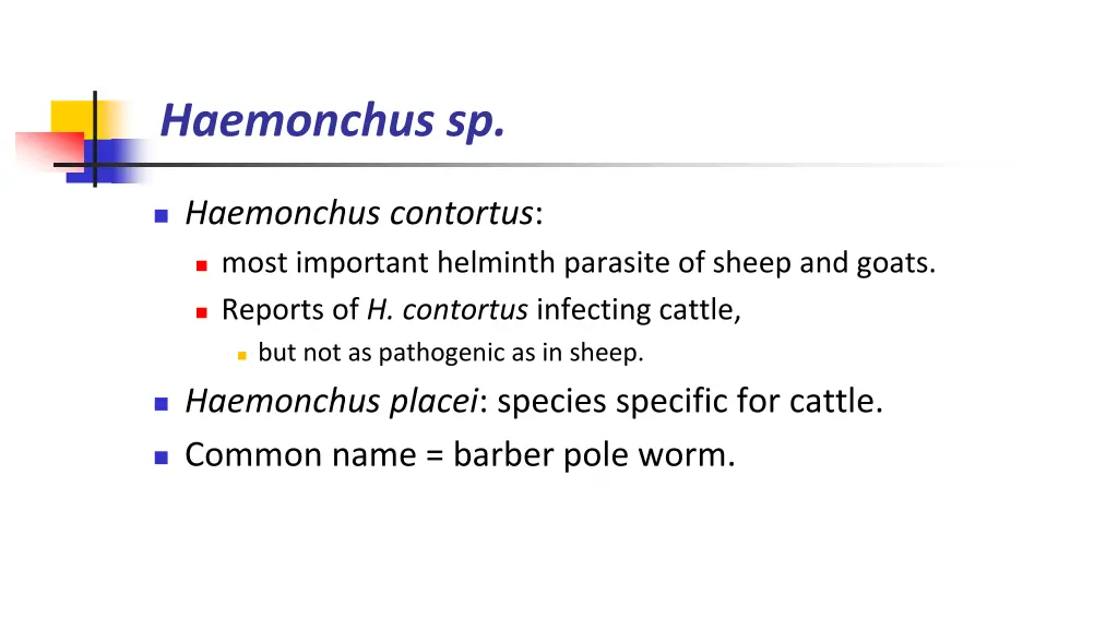 haemonchus sp