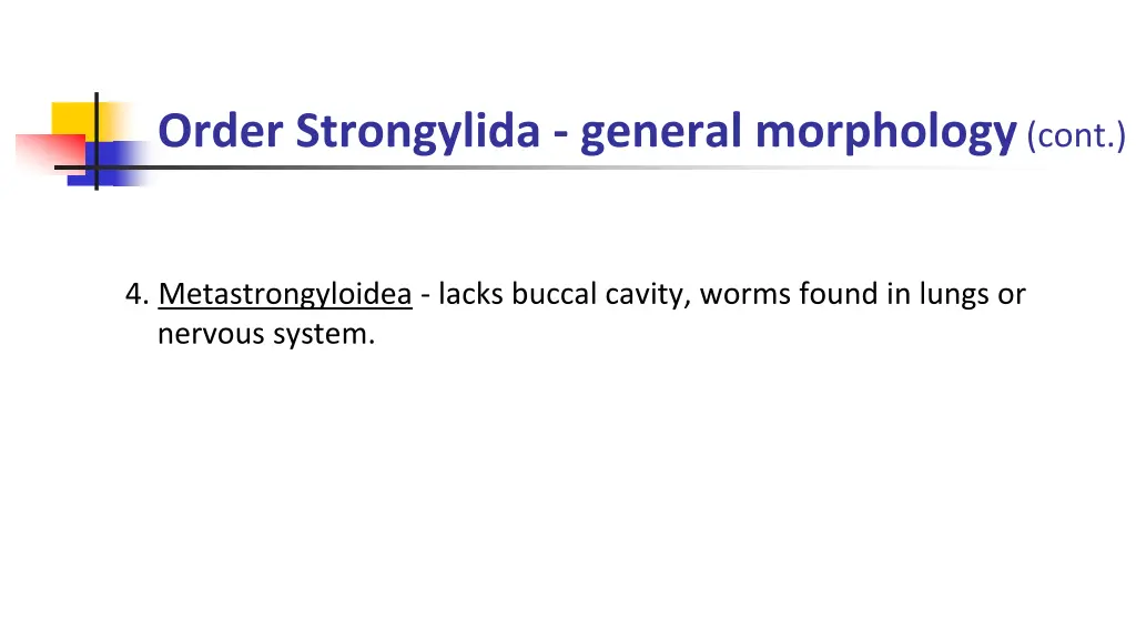 order strongylida general morphology cont 2