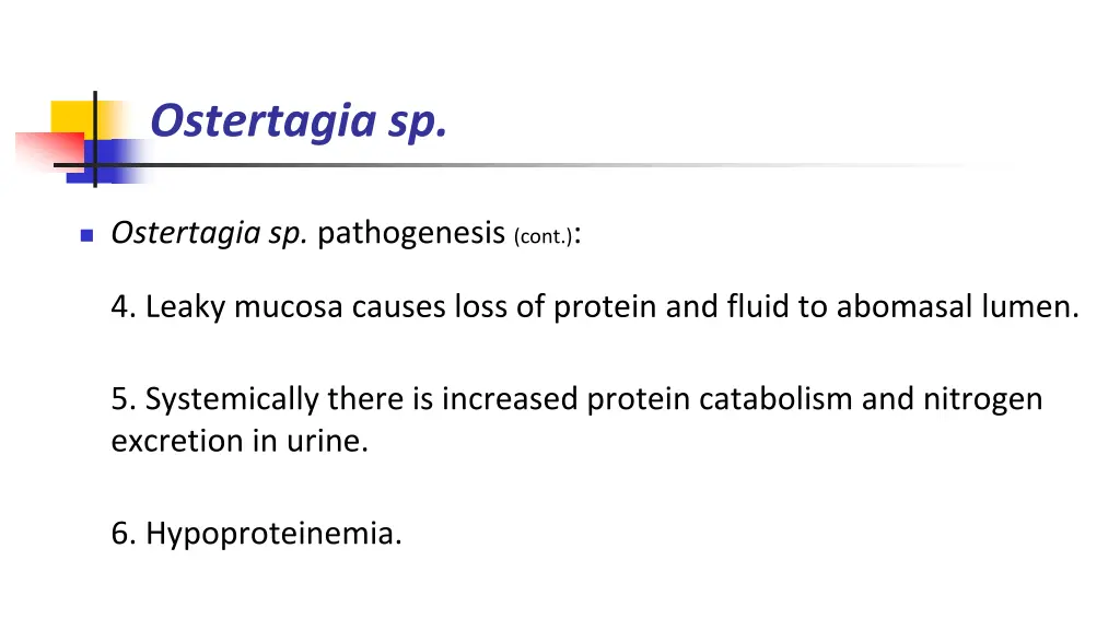 ostertagia sp 3