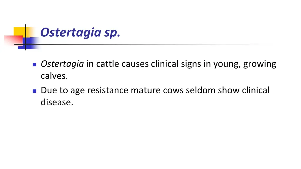 ostertagia sp 7