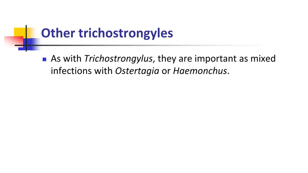 other trichostrongyles 1