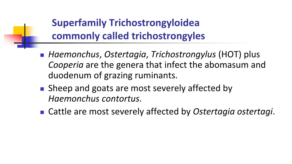 superfamily trichostrongyloidea commonly called