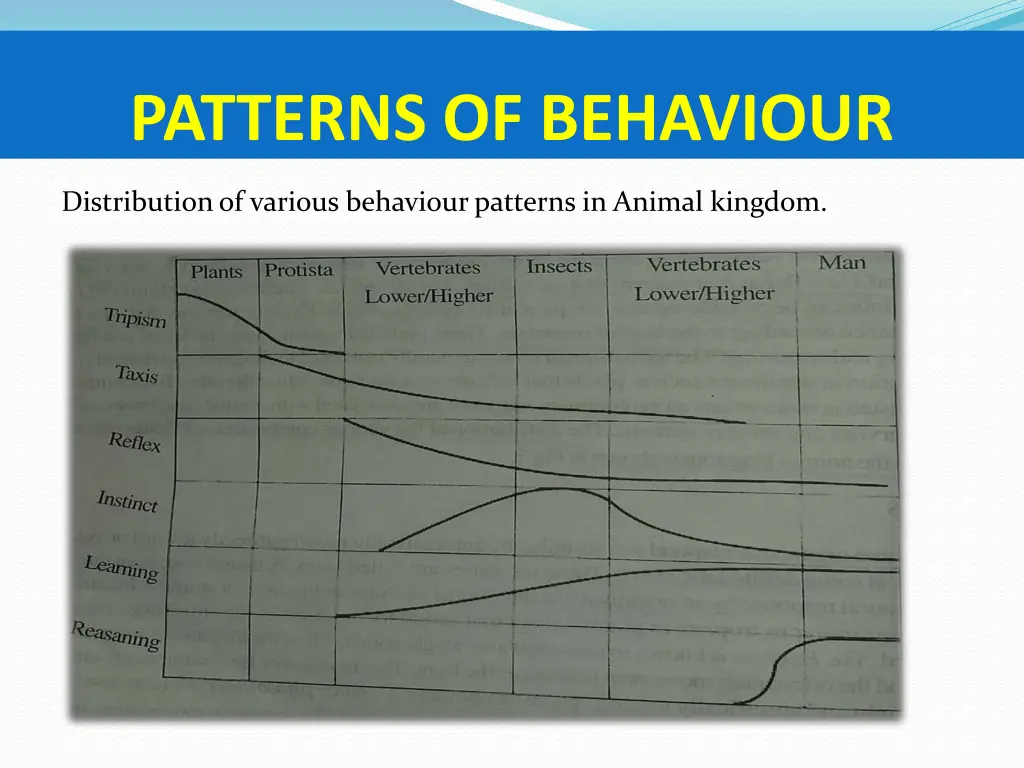 patterns of behaviour 3