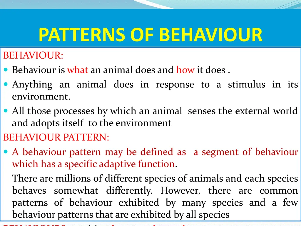 patterns of behaviour behaviour behaviour is what