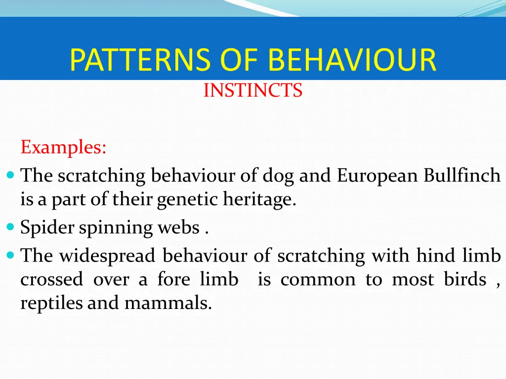 patterns of behaviour instincts