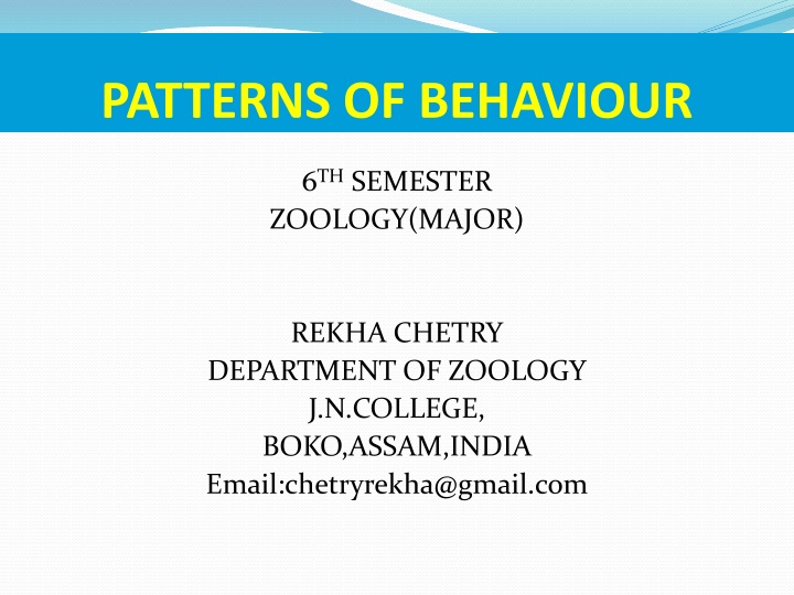 patterns of behaviour