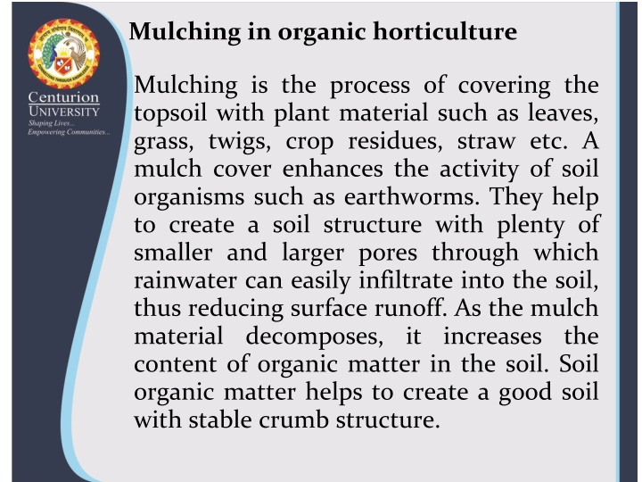 mulching in organic horticulture