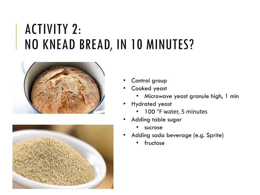 activity 2 no knead bread in 10 minutes