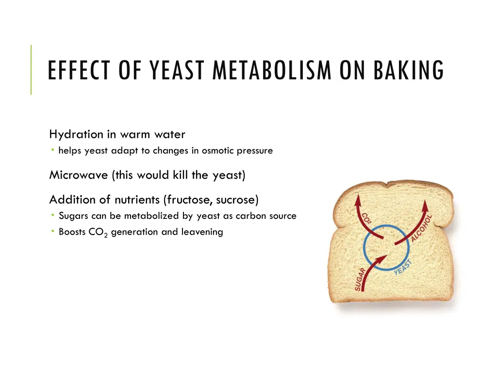 effect of yeast metabolism on baking