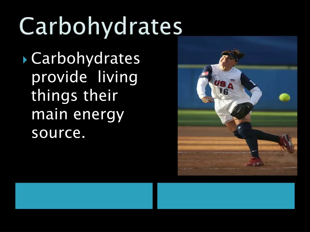 carbohydrates provide living things their main