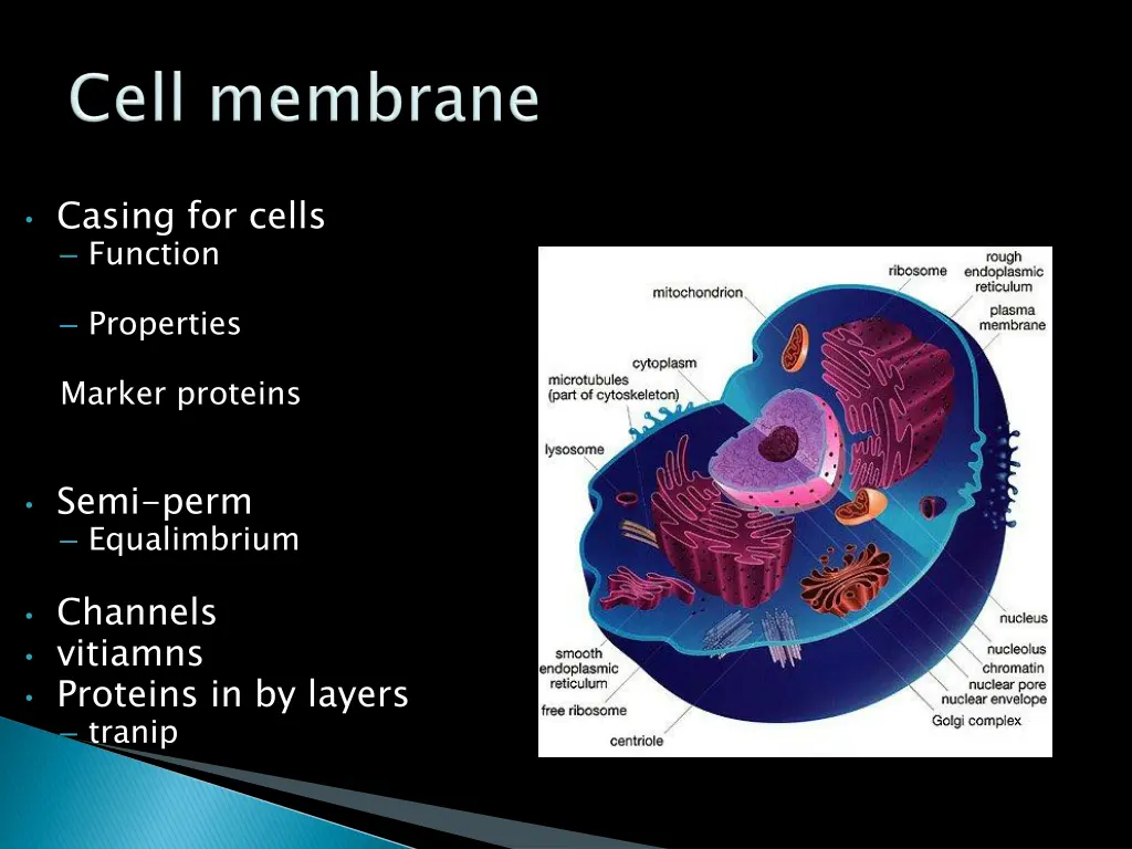 casing for cells function