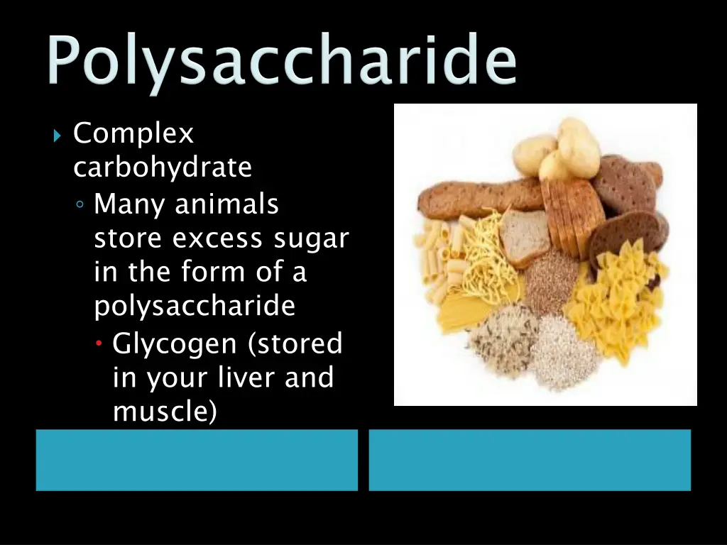 complex carbohydrate many animals store excess