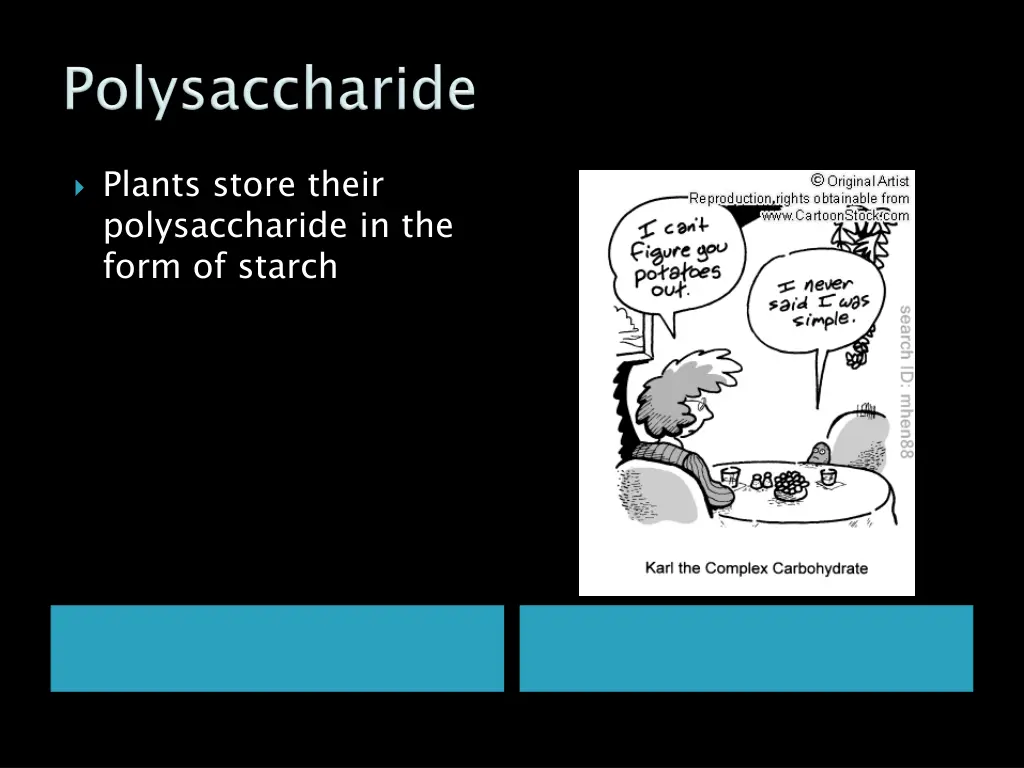 plants store their polysaccharide in the form