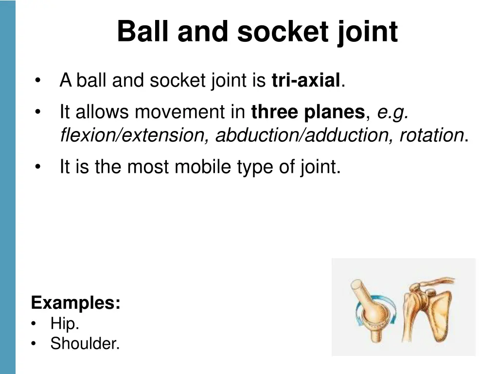 ball and socket joint