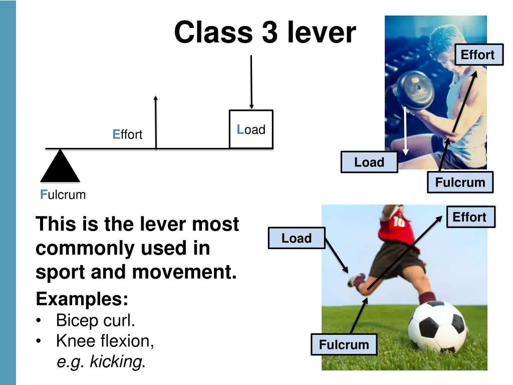 class 3 lever