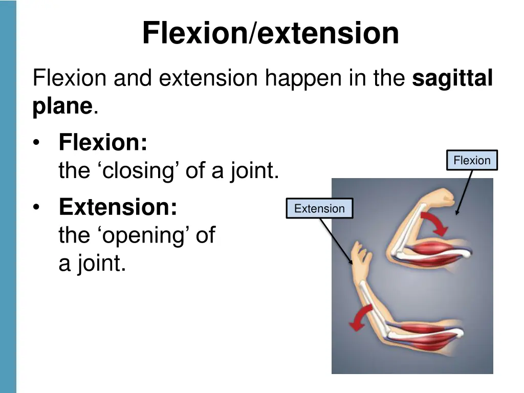 flexion extension