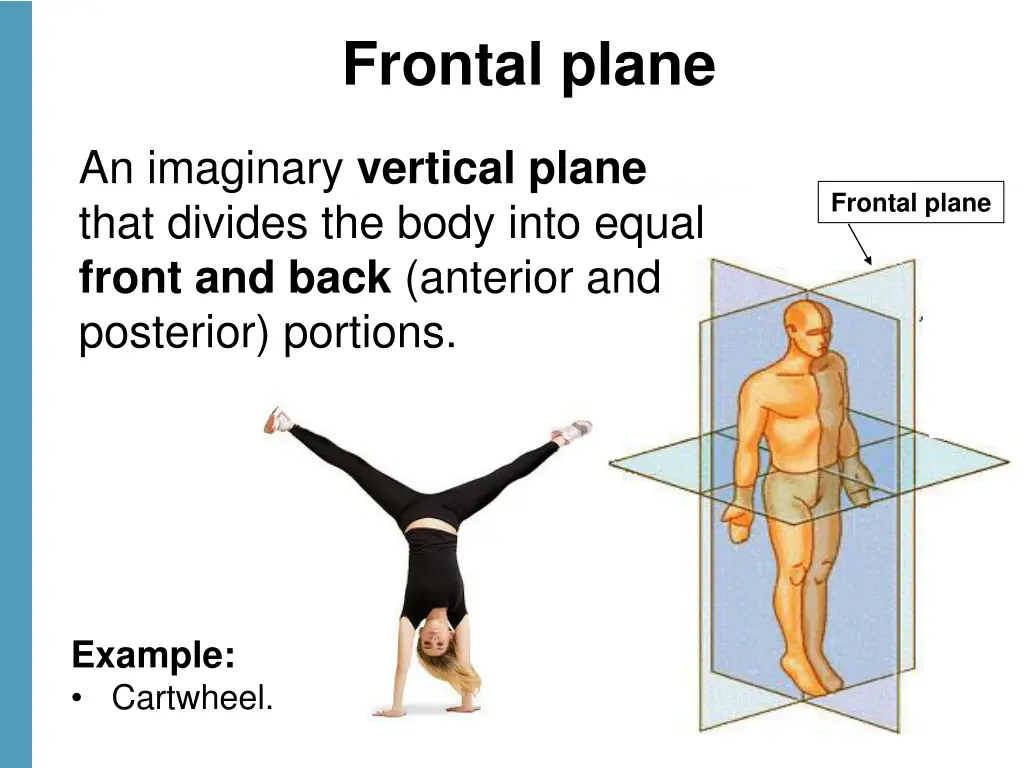 frontal plane