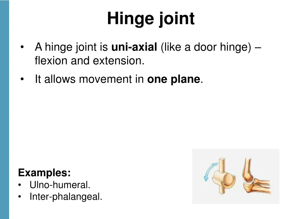 hinge joint