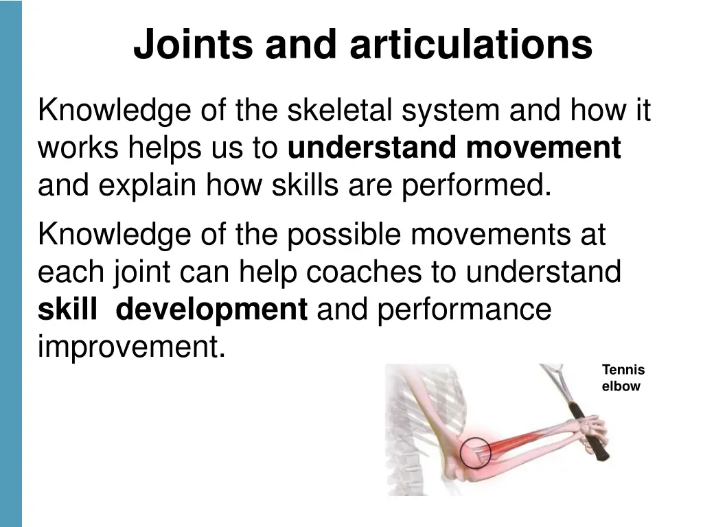 joints and articulations