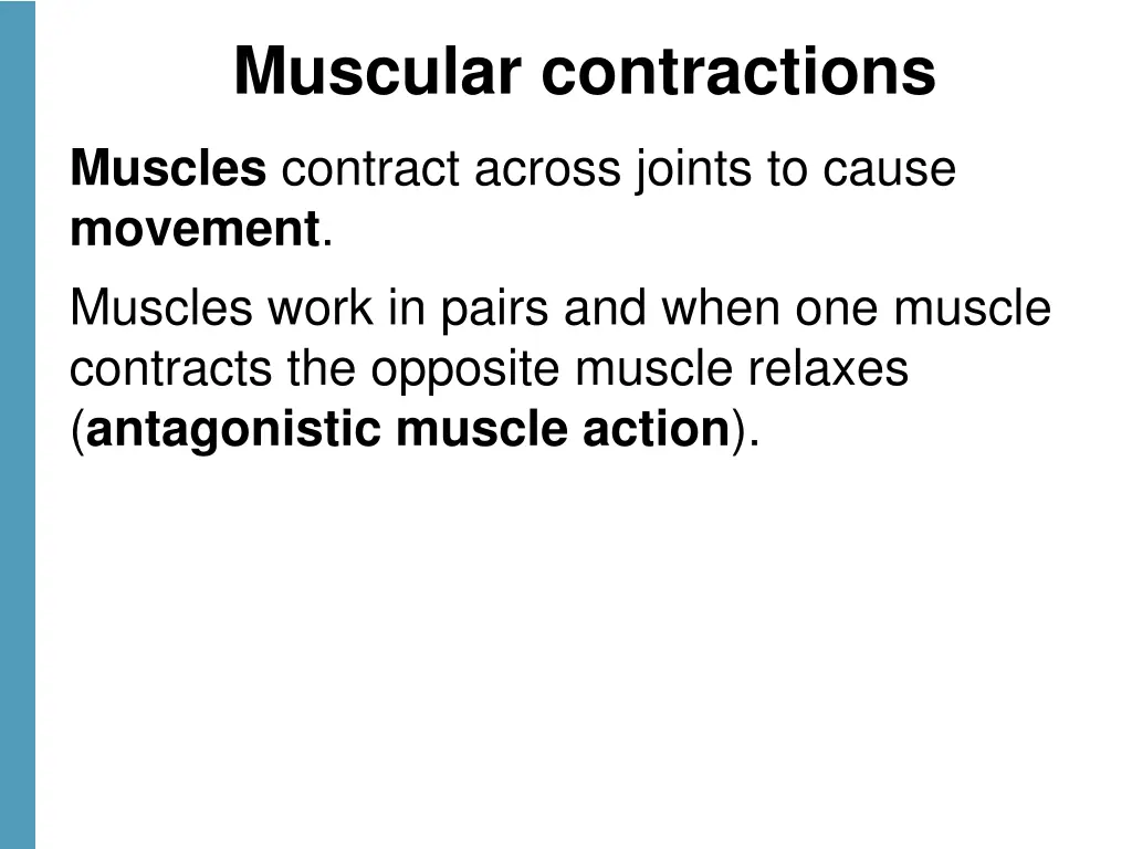 muscular contractions 1