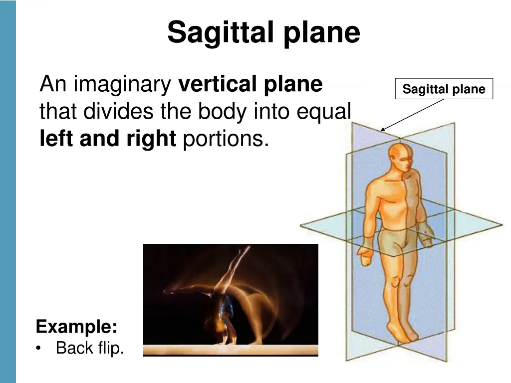 sagittal plane