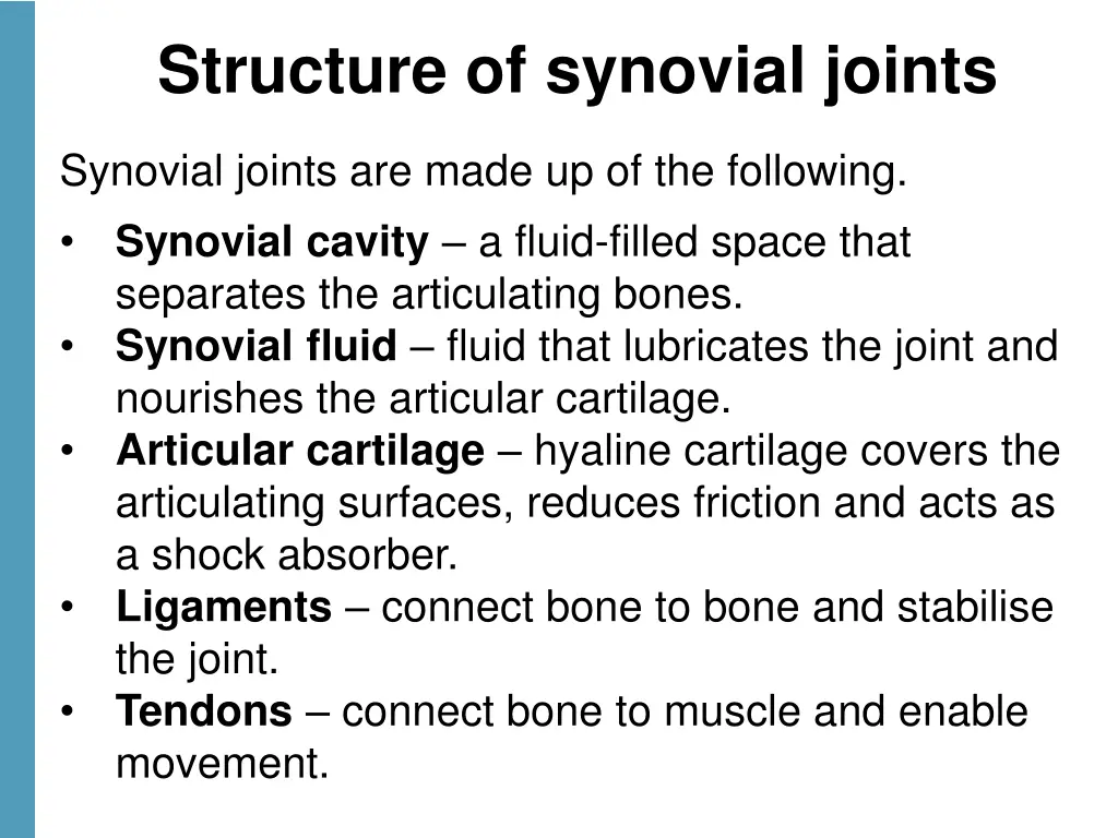 structure of synovial joints