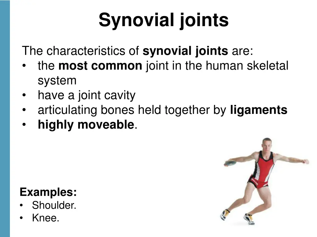 synovial joints