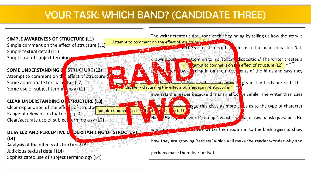 your task which band candidate three