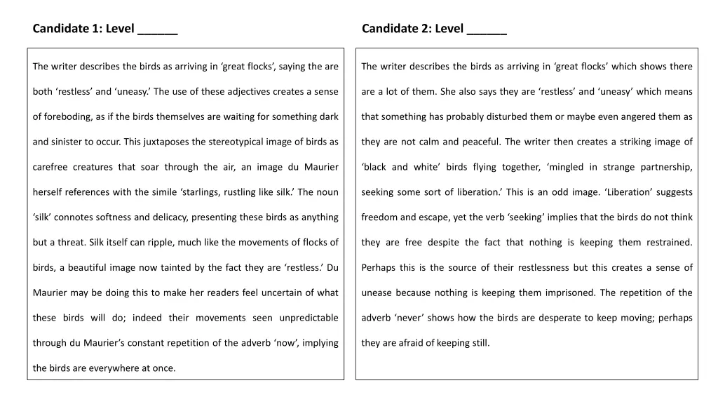 candidate 1 level