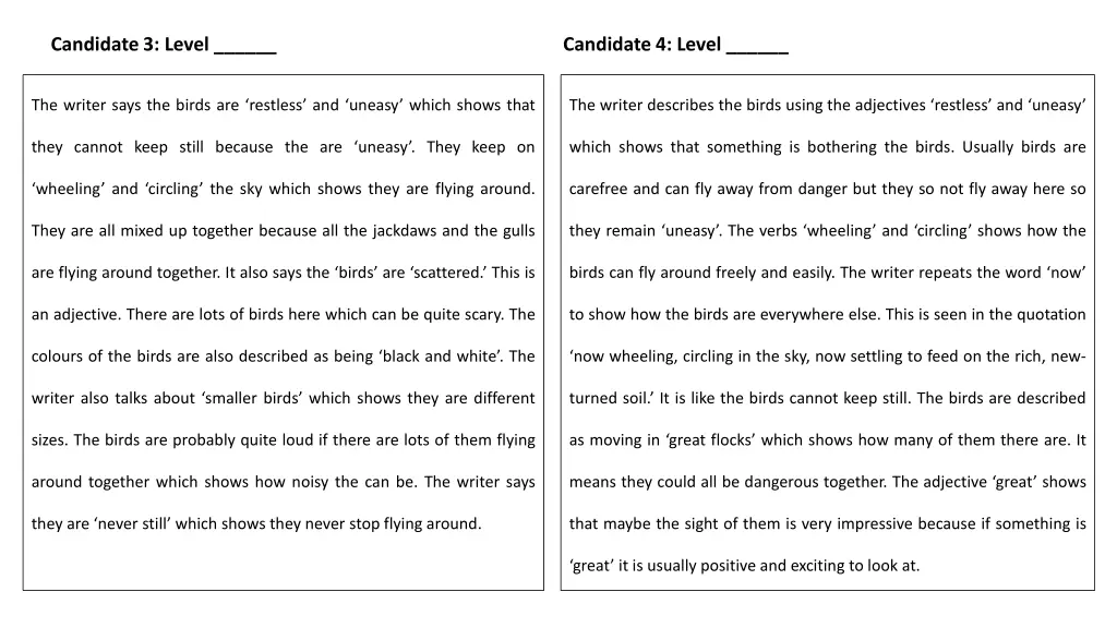 candidate 3 level