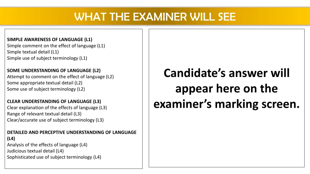 what the examiner will see