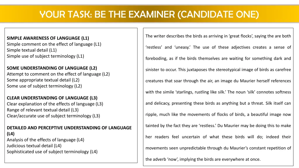 your task be the examiner candidate one