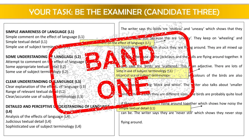 your task be the examiner candidate three 1