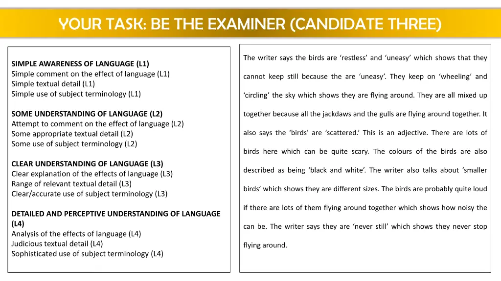 your task be the examiner candidate three