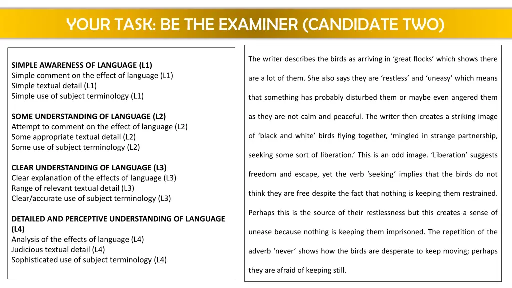 your task be the examiner candidate two