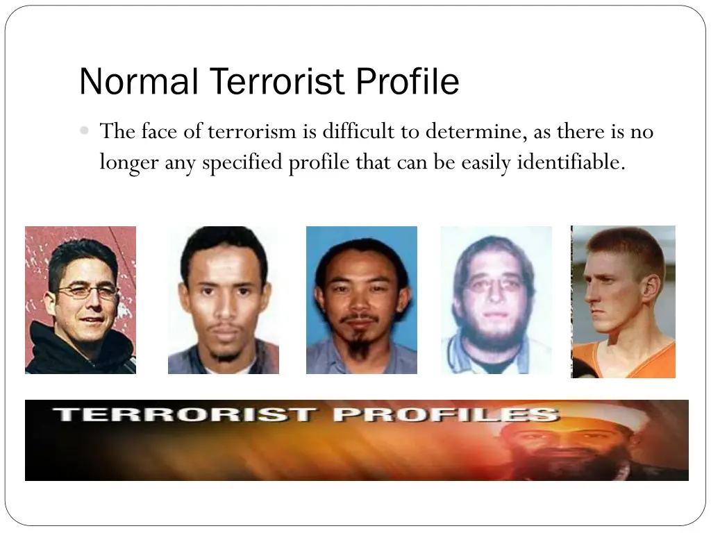 normal terrorist profile