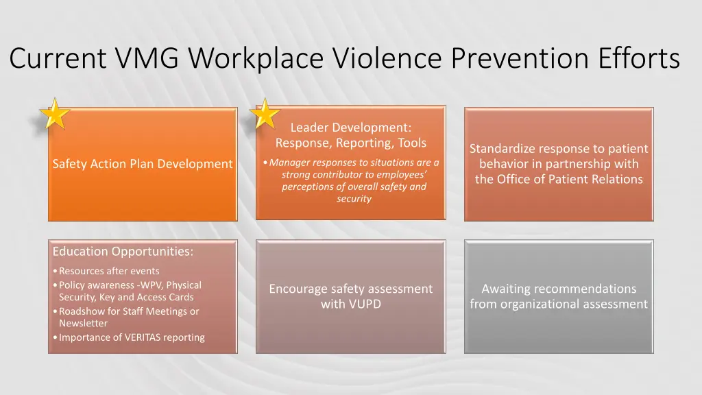 current vmg workplace violence prevention efforts