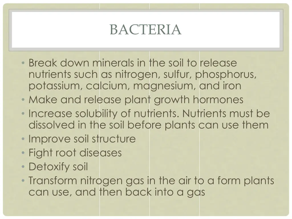 bacteria 1