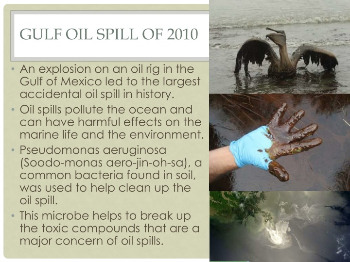 gulf oil spill of 2010