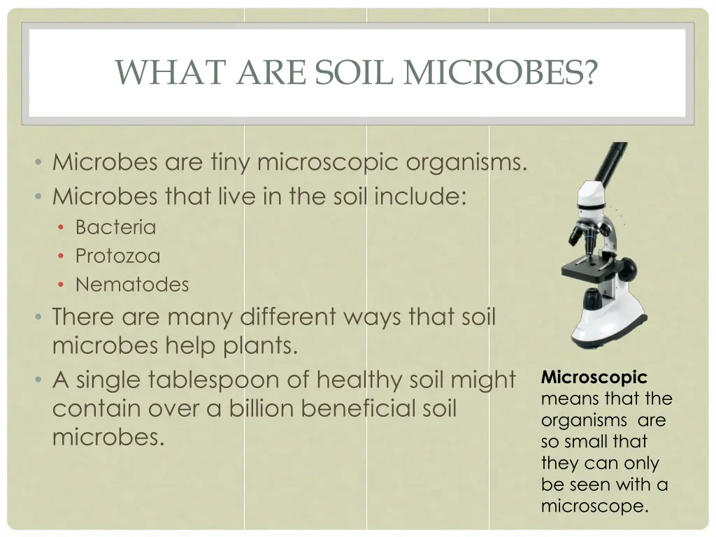 what are soil microbes