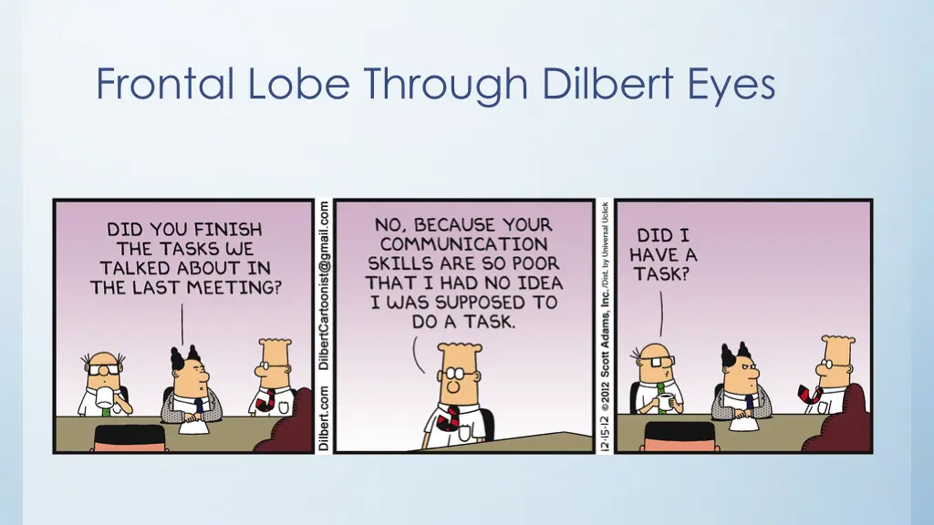 frontal lobe through dilbert eyes