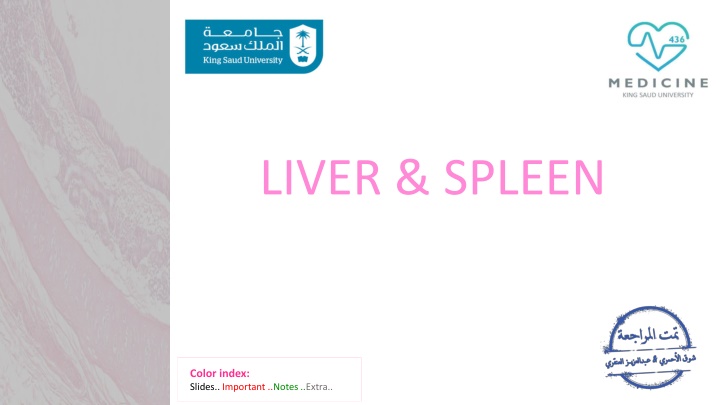 liver spleen